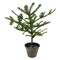 Allstate Artificial Mini Pine Tree in Paper Mache Pot - 17" - Green